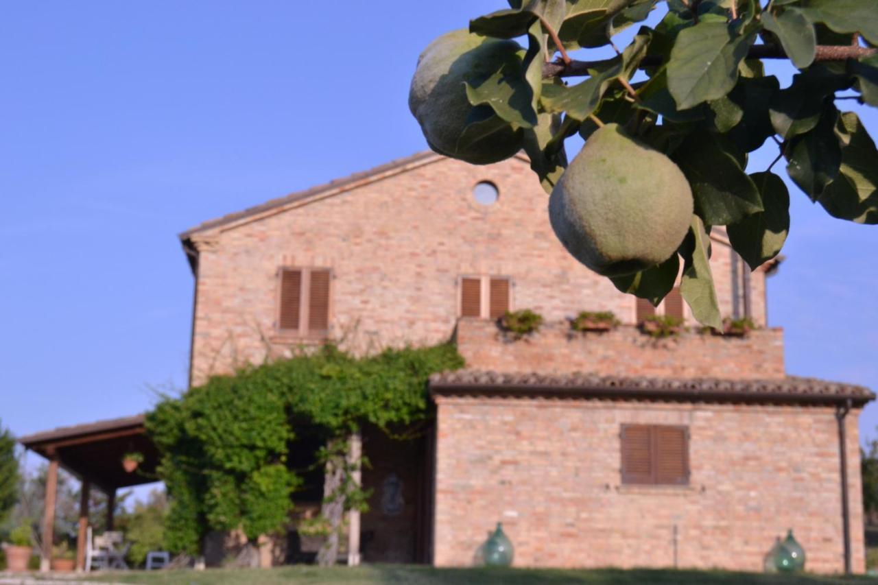 B&B Le Tamerici San Giorgio di Pesaro エクステリア 写真