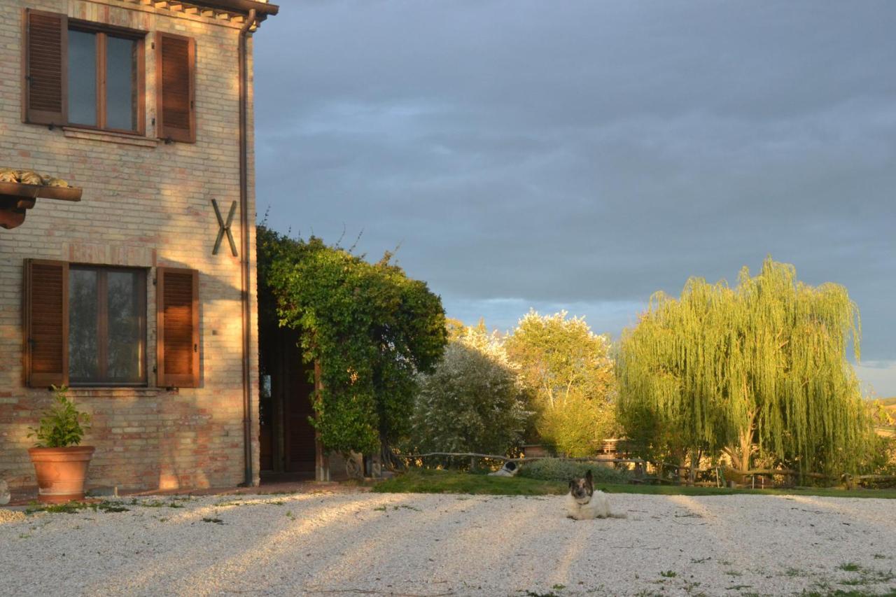 B&B Le Tamerici San Giorgio di Pesaro エクステリア 写真