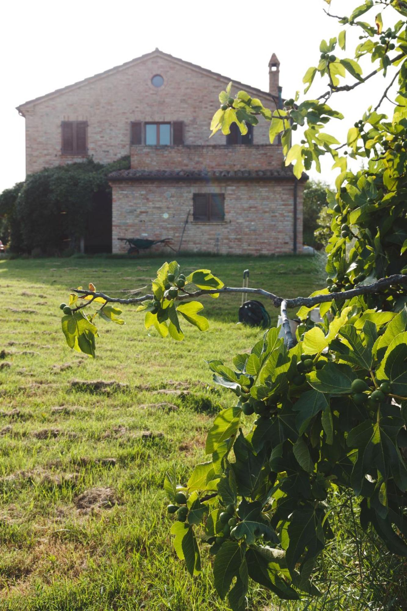 B&B Le Tamerici San Giorgio di Pesaro エクステリア 写真