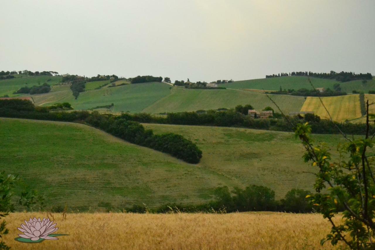 B&B Le Tamerici San Giorgio di Pesaro エクステリア 写真