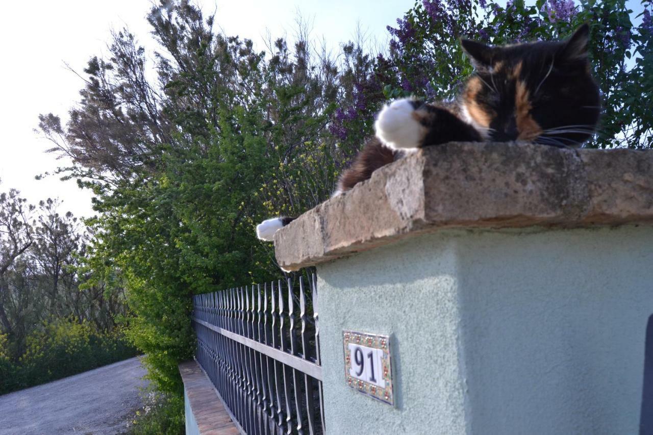 B&B Le Tamerici San Giorgio di Pesaro エクステリア 写真