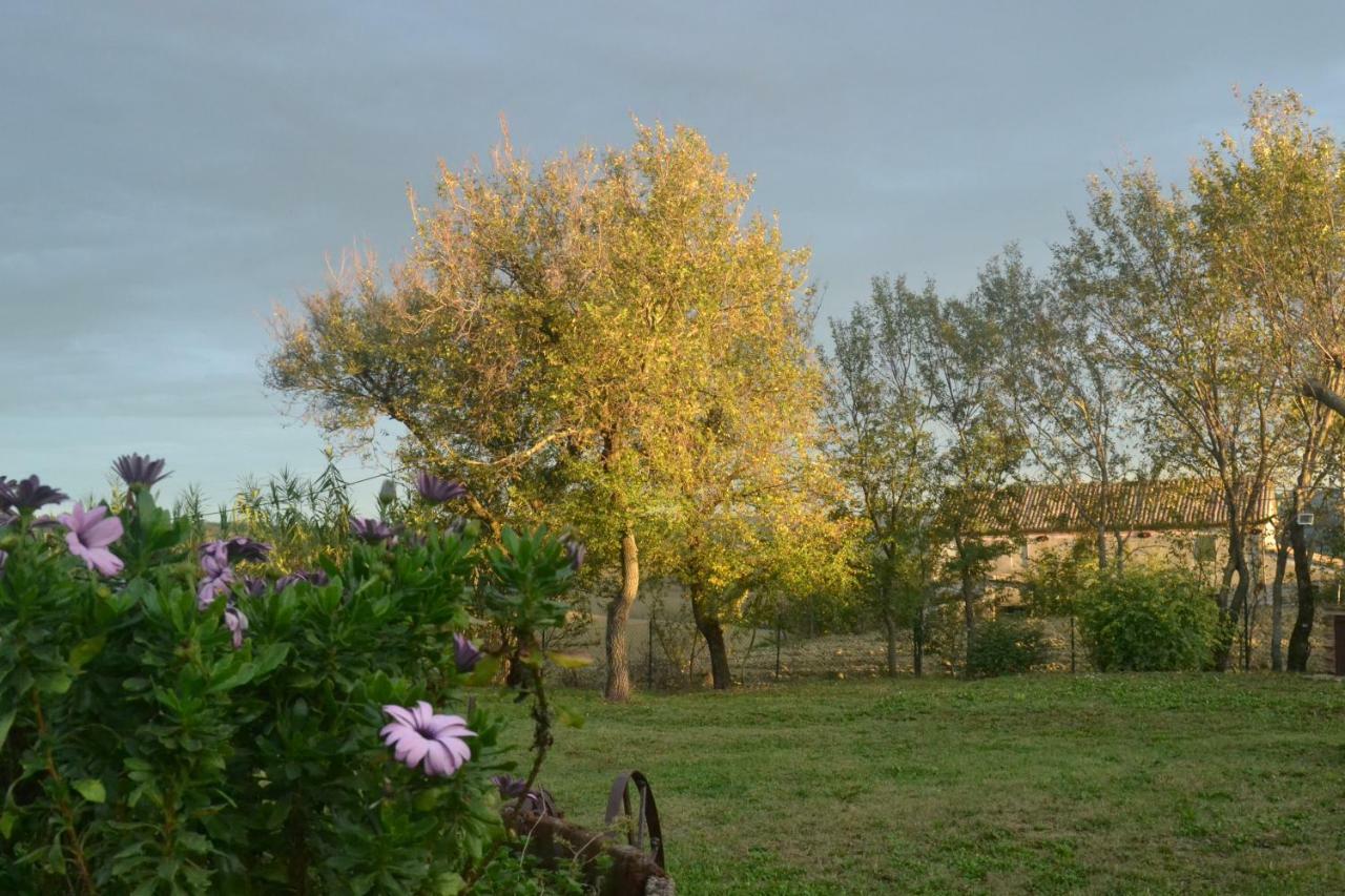 B&B Le Tamerici San Giorgio di Pesaro エクステリア 写真