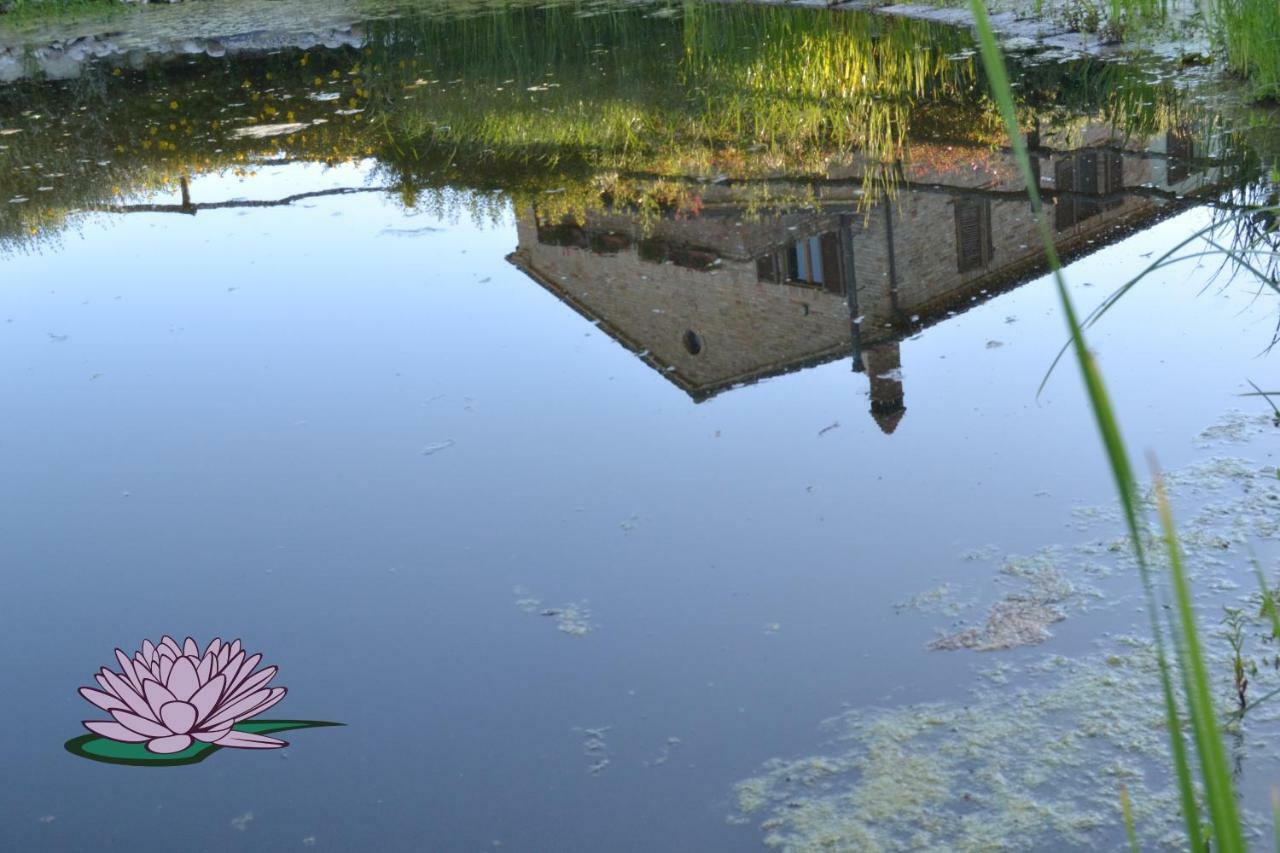 B&B Le Tamerici San Giorgio di Pesaro エクステリア 写真