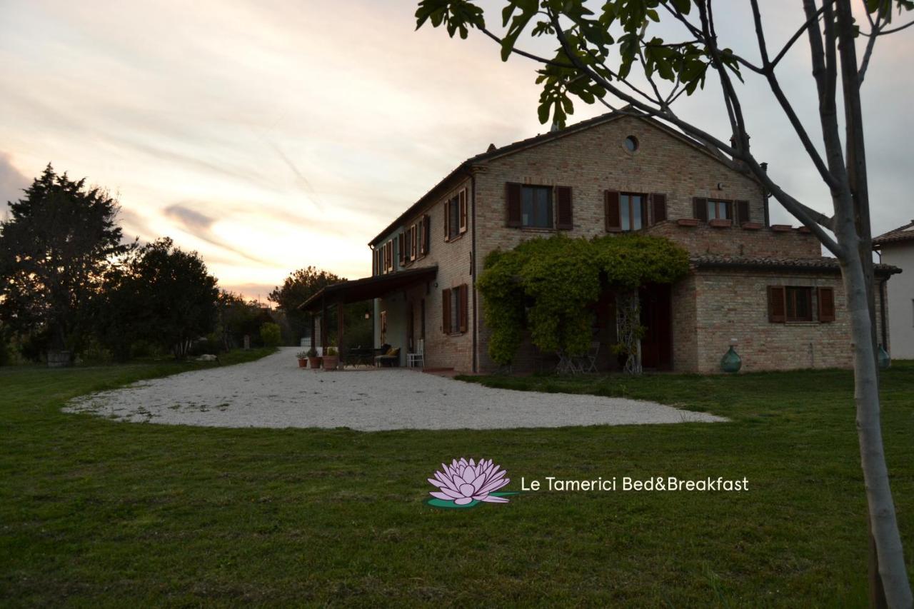 B&B Le Tamerici San Giorgio di Pesaro エクステリア 写真